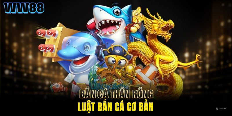 Luật tham gia trải nghiệm Super Dragon hiệu quả cho newbie