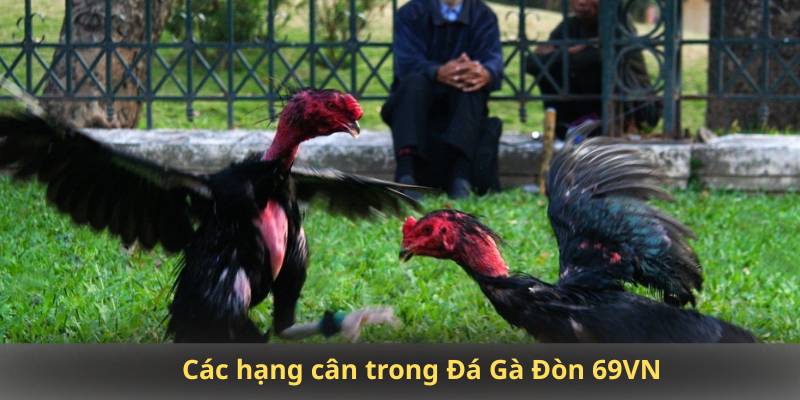 Các hạng cân trong Đá Gà Đòn 69VN
